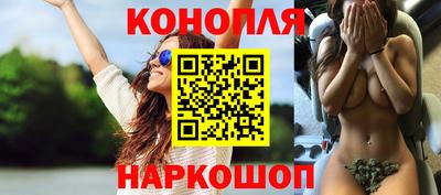 дмт Будённовск
