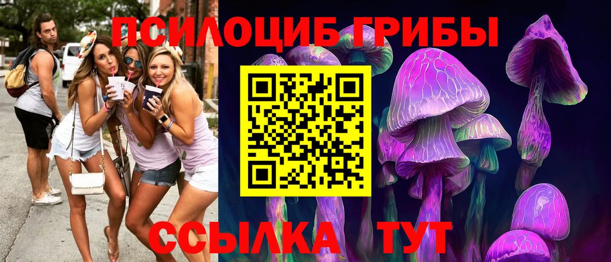 Псилоцибиновые грибы мицелий Тара